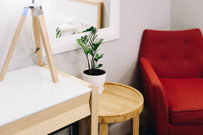 A close up horizontal image of a small zz plant growing in a white pot set on a wooden table in a living room.